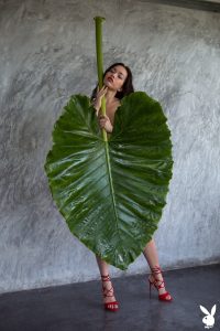 kit-rysha-natural-allure-playboy-0003